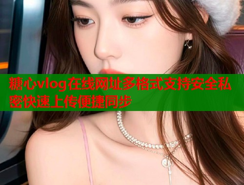 糖心vlog在线网址多格式支持安全私密快速上传便捷同步  第2张